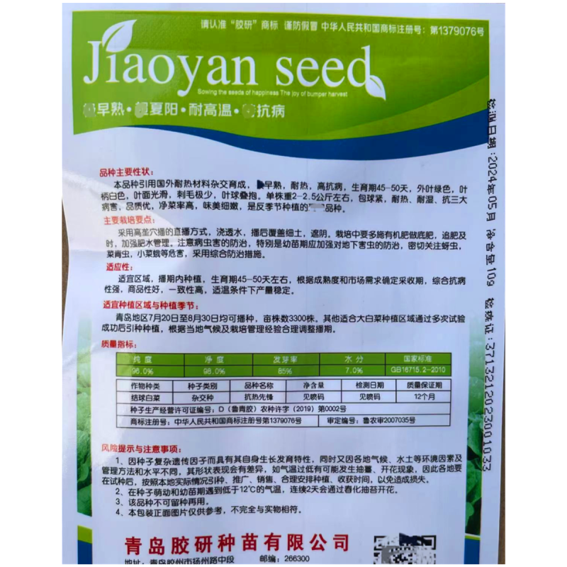 抗热先锋大白菜种子早熟抗病净菜率高味美细嫩