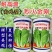 申萌烈火金刚快菜种子耐热耐湿夏秋小白菜种子速生快菜
