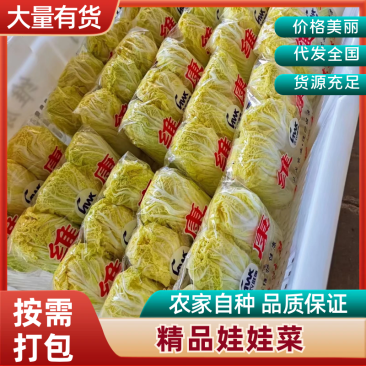 【精品】娃娃菜云南娃娃菜，质量保证货量充足
