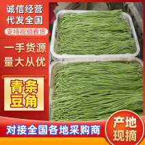 精品长豆角产地直发货源充足可视频看货品质保障