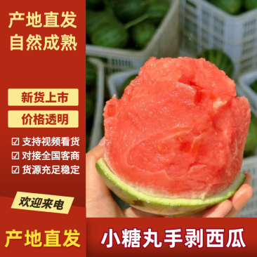 【热卖】全美2K/金乐丰小糖丸西瓜/无籽938吊兰西瓜