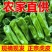 [辣椒]芜湖椒原产地发货一条龙服务24小时在线服务