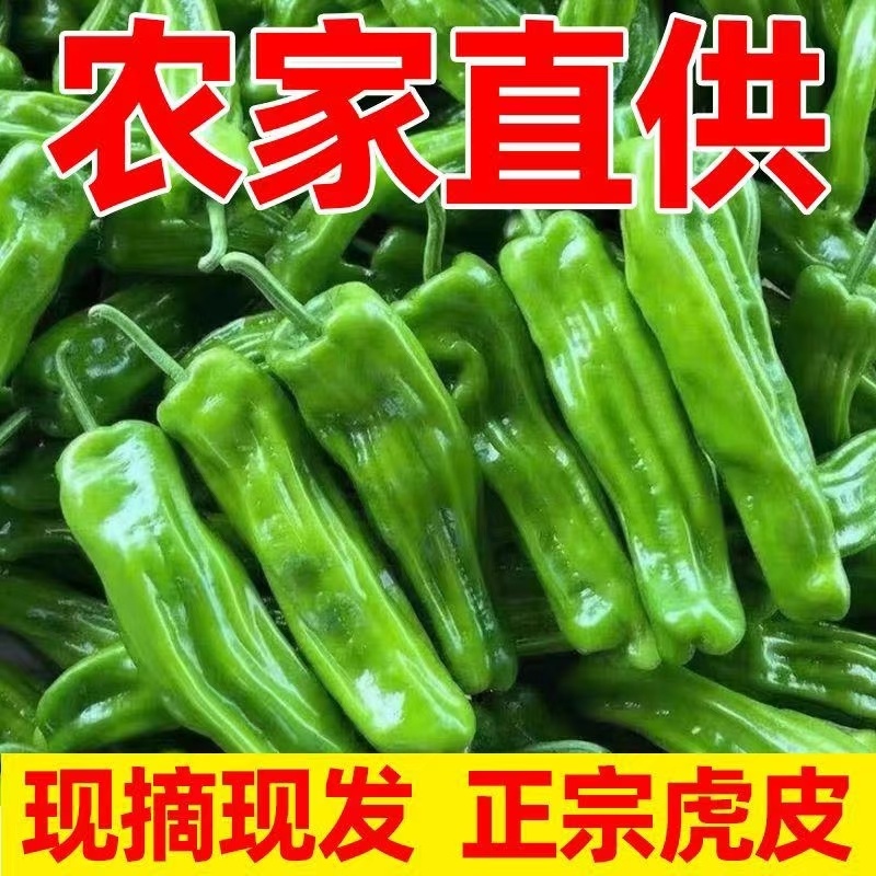 [辣椒]芜湖椒原产地发货一条龙服务24小时在线服务