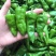 辣椒邹皮椒余干椒尖椒湘研55号牛角椒一手货源