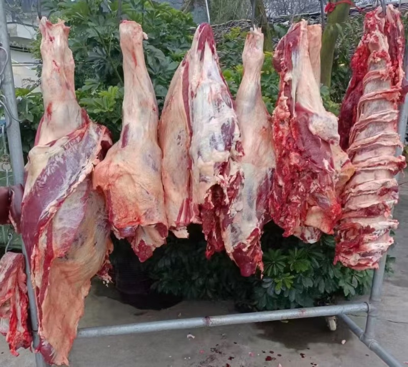 【精选牛肉】鲜牛肉精心分割/打包/无病死/无注水全国发货
