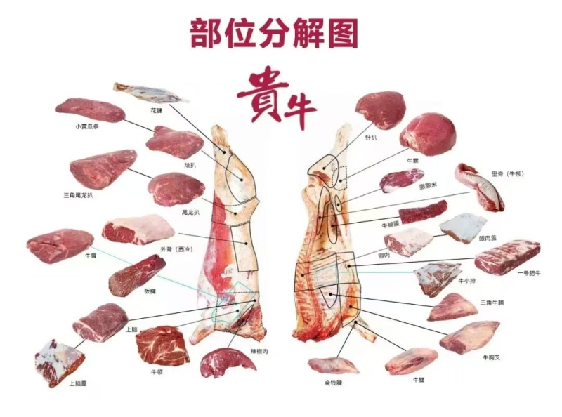 【精选牛肉】鲜牛肉精心分割/打包/无病死/无注水全国发货
