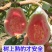 广西精品红心芭乐红宝石番石榴果园直发口感软糯香甜低糖批发