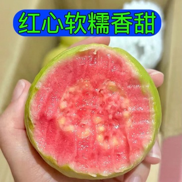 广西精品红心芭乐红宝石番石榴果园直发口感软糯香甜低糖批发