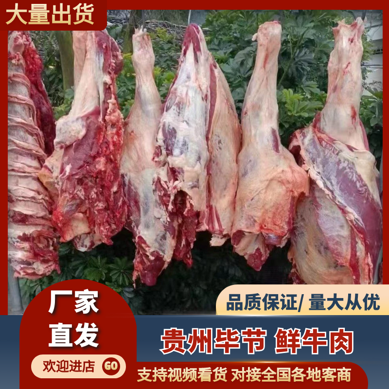 【精选牛肉】鲜牛肉精心分割/打包/无病死/无注水全国发货