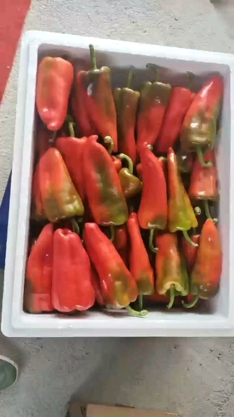 红泡椒红线椒产地直发加工厂批发长期供货保质保量