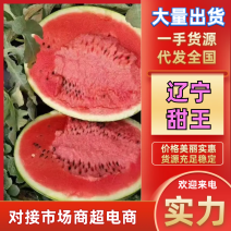 甜王西瓜辽宁西瓜有籽甜王，大吨位供货，对接电商市场批发商