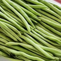 白花四季豆青豆产地看货论价保质保量欢迎订购