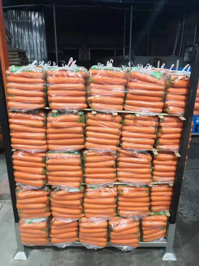 山东菏泽现货三红胡萝卜水洗品质好价格优惠常年供应发市场