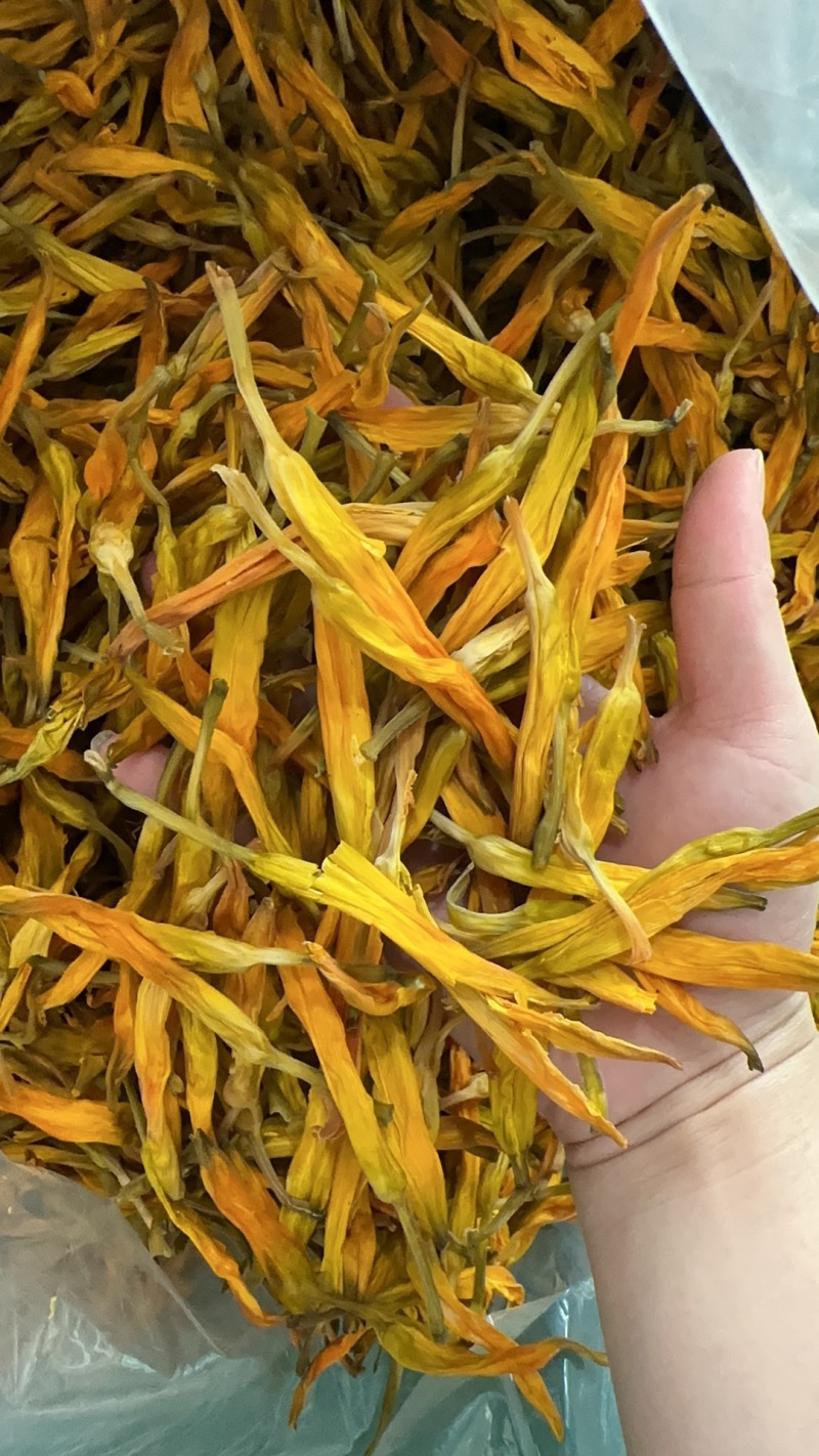 【热卖】干黄花菜台湾品种黄花菜全国包邮欢迎各大老板采购