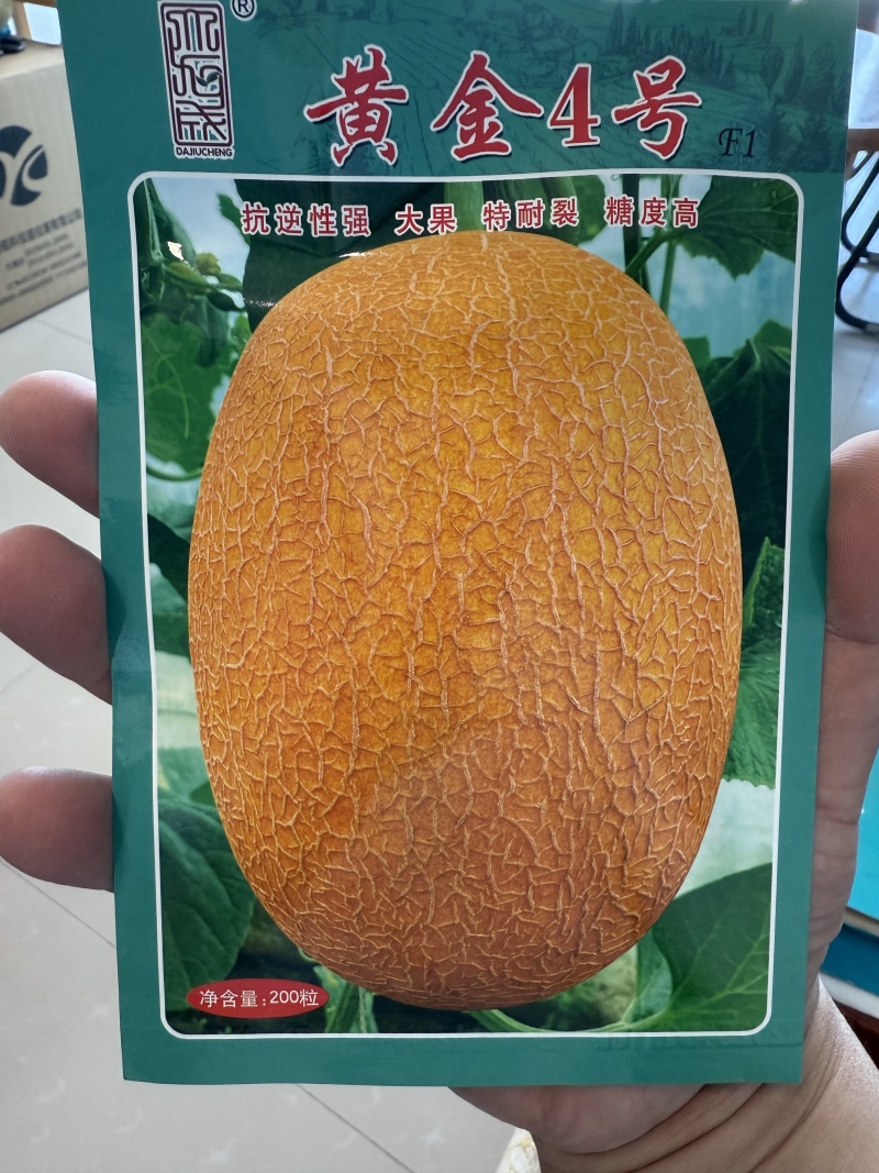 【厂家直供】黄金4号哈密瓜种子耐高温大果抗裂糖度高