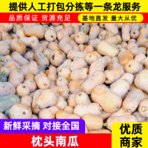 陕西南瓜枕头南瓜产地直发货源充足欢迎致电咨询