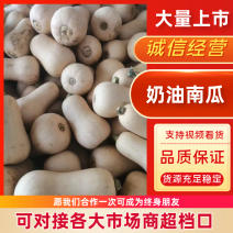 奶油南瓜产地直发可以视频看货可以对接电商超市市场诚信第一