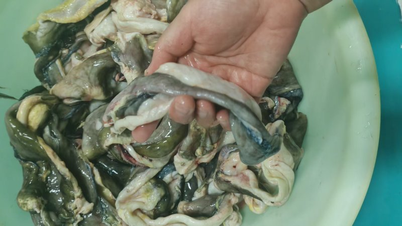 鲟鱼鱼鳔大量货源全国发货欢迎随时联系