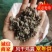 鸡粪纯风干颗粒小鸡粪自然风干/常年供应/品质保证