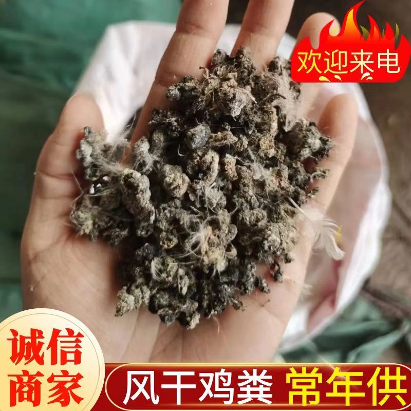 鸡粪纯风干颗粒小鸡粪自然风干/常年供应/品质保证