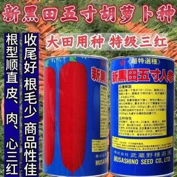 新黑田五寸人参胡萝卜种子耐热抗病耐裂根