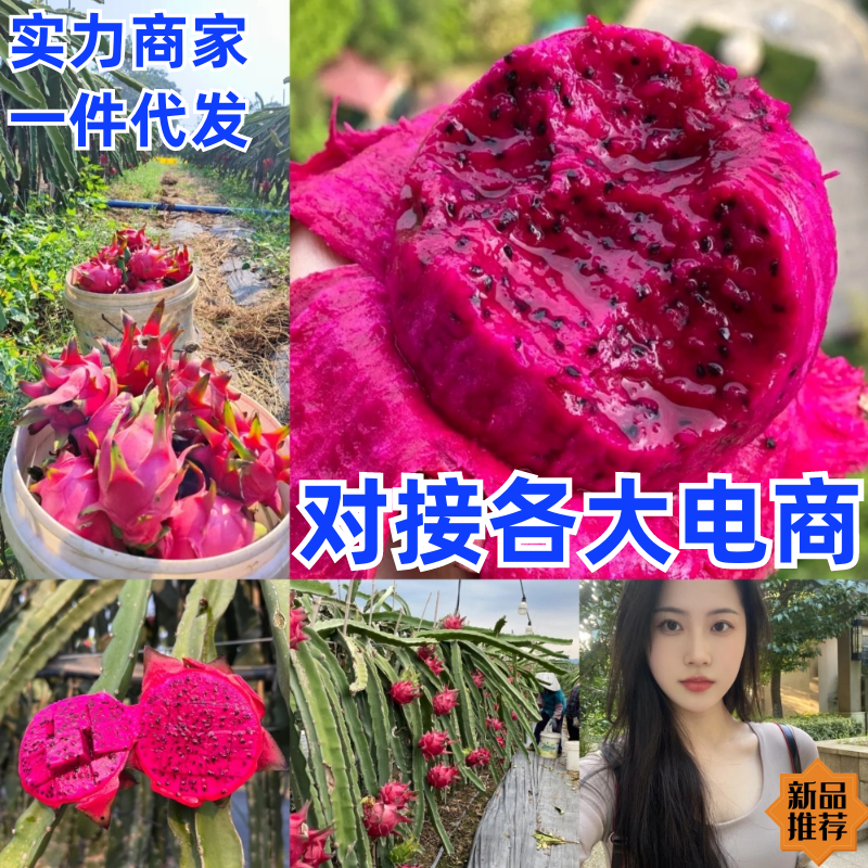 金都一号火龙果广西产地直发，一件代发，对接抖音快手视频号