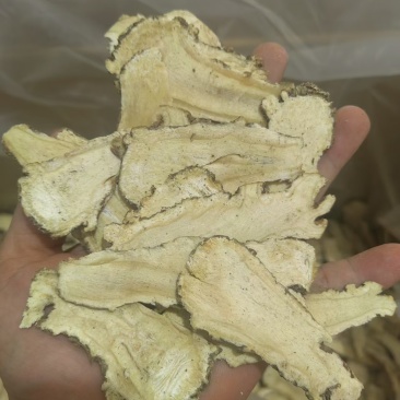 当归头片手选精品片超细粉加工