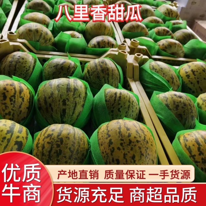 八里香-吉林白城-现货直发-瓜甜货多，视频看货对接全国