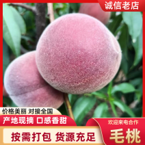 郑三毛桃大荔毛桃基地直供量大从优代发全国市场