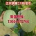 山东济南精品晓蜜25哈密瓜黄皮货源充足口感好产地直发