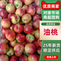 《油桃》山西红桃/红油桃/桃子-对接全国发货耐运输