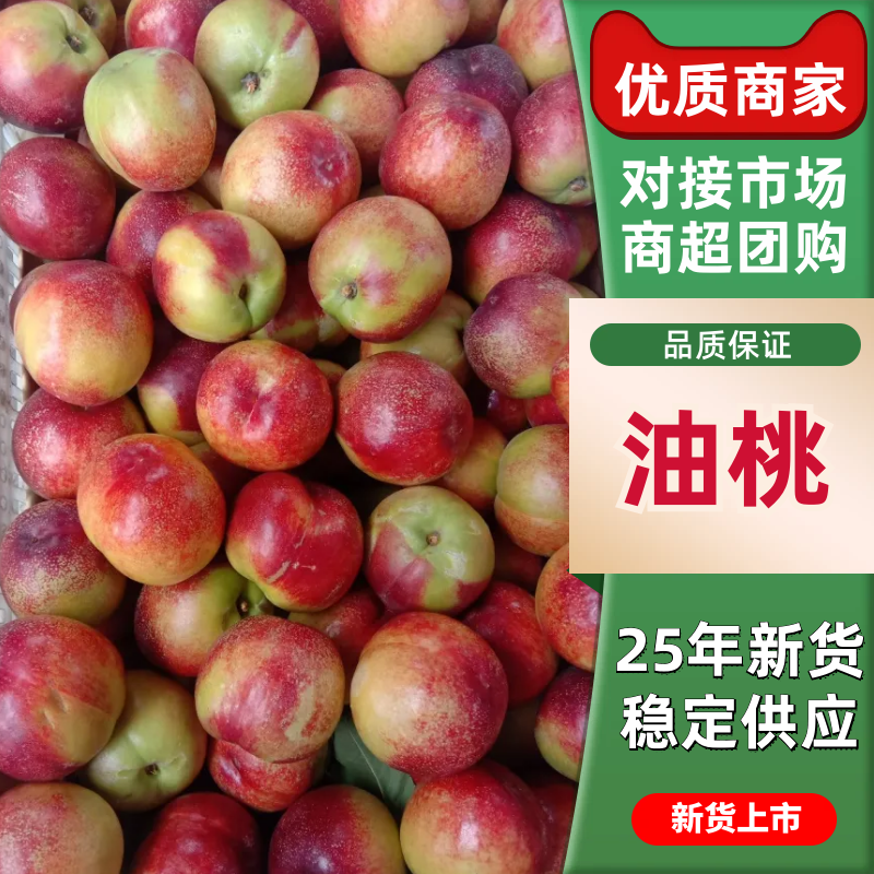 《油桃》山西红桃/红油桃/桃子-对接全国发货耐运输