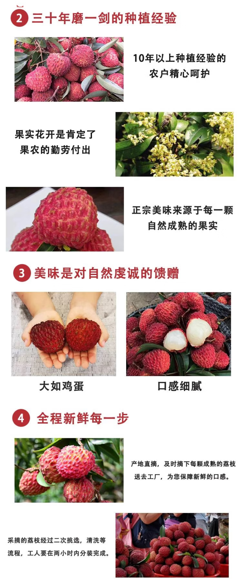 广西荔枝王一件代发产地直发一手货源对接各大电商平台