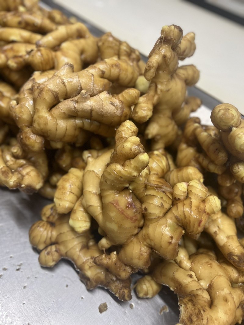 山东精品大肉姜-严选好姜皮薄肉厚耐储存