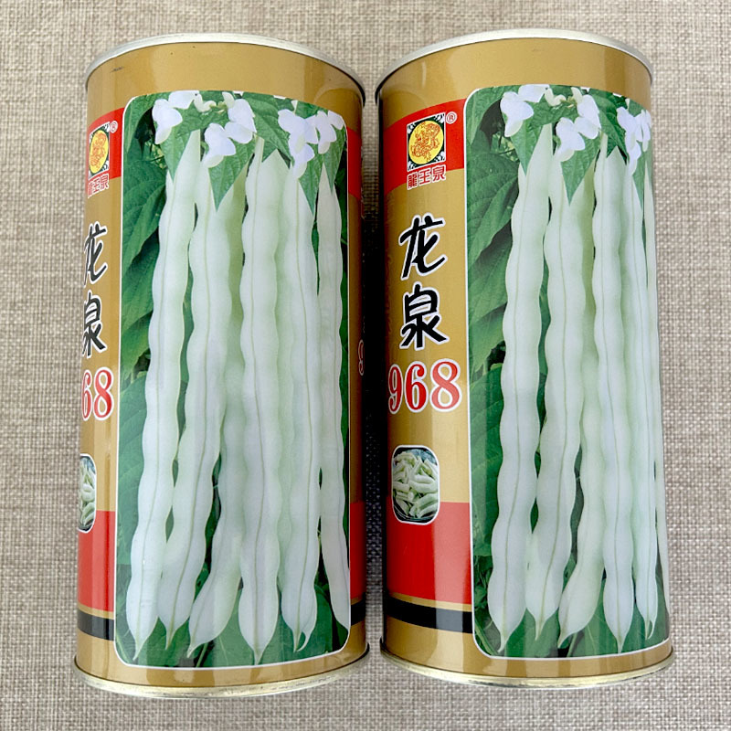 龙泉968豆角种子芸豆白不老九粒白豆角无丝无筋豆种籽