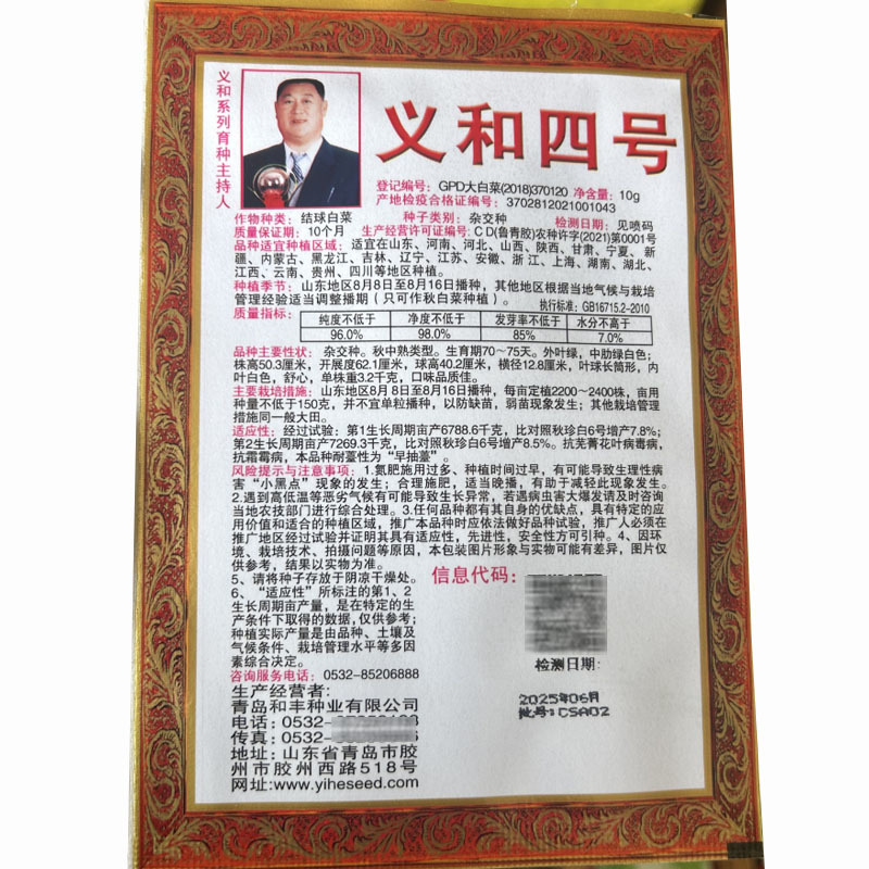 义和四号白菜种子大青麻叶籽夏秋季白菜大田基地