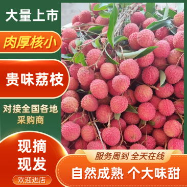 桂味荔枝广东茂名荔枝产地直发甘甜多汁现摘现发