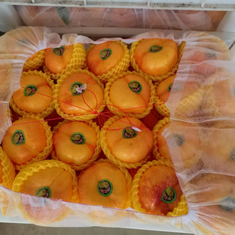 精品黄油桃，黄毛桃，毛蟠桃，油蟠桃，产地直发，品质保证