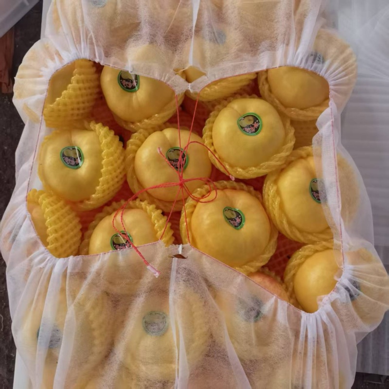 山东油蟠桃，毛蟠桃，黄油桃毛桃，规格齐全，价格优惠