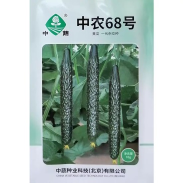 中农68号杂交抗热黄瓜种子短把密刺强雌深绿油亮黄瓜种籽