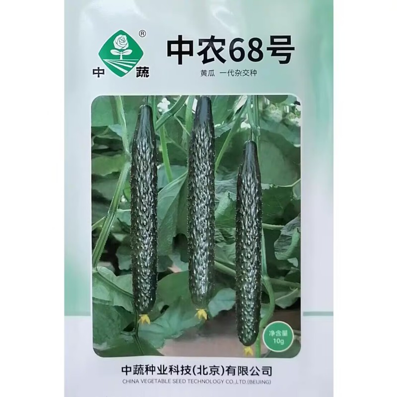 中农68号杂交抗热黄瓜种子短把密刺强雌深绿油亮黄瓜种籽