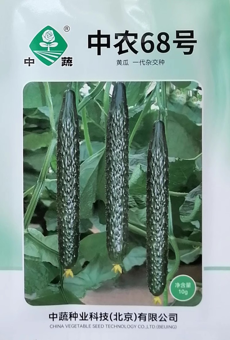 中农68号杂交抗热黄瓜种子短把密刺强雌深绿油亮黄瓜种籽