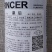 皇后西芹种子法国早熟进口西芹种籽高产长势快净菜率高大田播