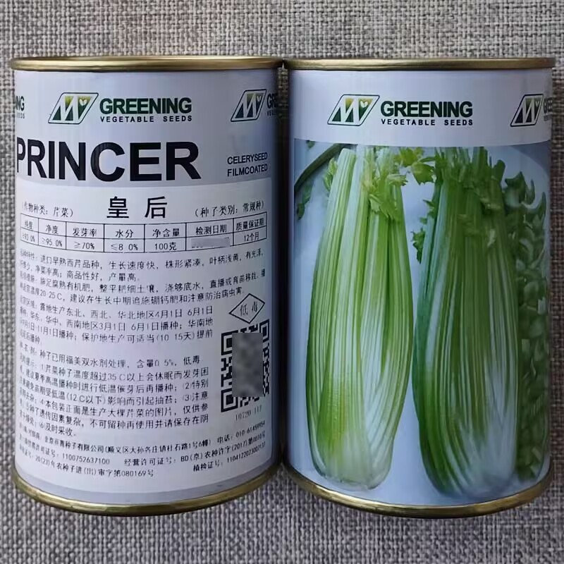 皇后西芹种子法国早熟进口西芹种籽高产长势快净菜率高大田播