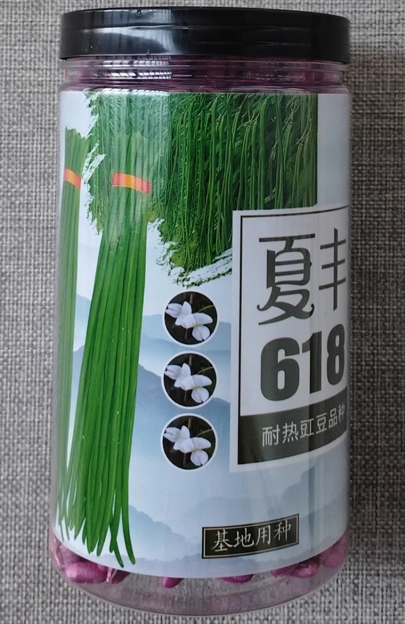 夏丰618耐热豇豆种子抗热豆角种籽白籽白花翠绿条长豆角种