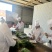 河北沧州茴香颜色翠绿鲜嫩冷库打冷耐运输承接加工餐饮批发