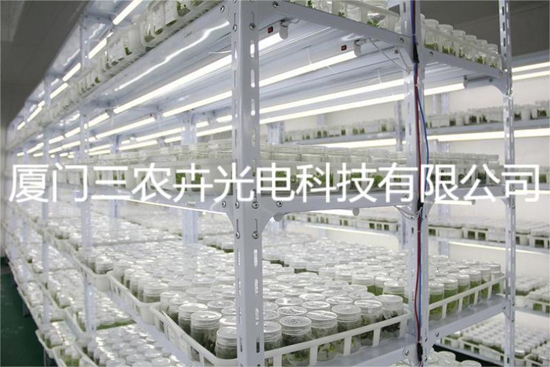 90cm-多肉上色防徒补光灯