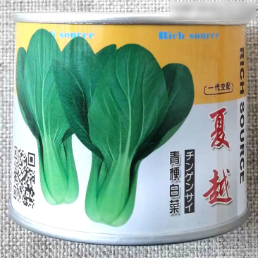 夏越青梗菜种子北京硕源绿梗窄帮青菜小油菜种籽耐热耐湿早熟