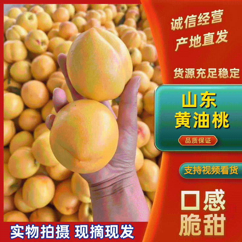 【实力】山东精品黄油桃/山东黄桃/个头均匀产地直发价美好