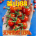 釜山88玲珑小番茄圣女果批发团购一件代发